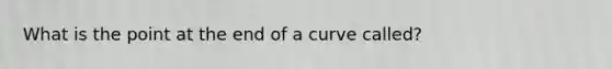 What is the point at the end of a curve called?