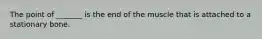 The point of _______ is the end of the muscle that is attached to a stationary bone.