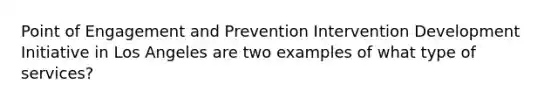 Point of Engagement and Prevention Intervention Development Initiative in Los Angeles are two examples of what type of services?