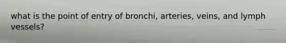 what is the point of entry of bronchi, arteries, veins, and lymph vessels?