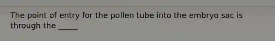 The point of entry for the pollen tube into the embryo sac is through the _____