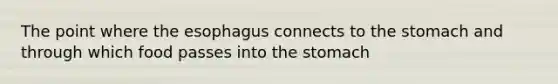 The point where <a href='https://www.questionai.com/knowledge/kSjVhaa9qF-the-esophagus' class='anchor-knowledge'>the esophagus</a> connects to <a href='https://www.questionai.com/knowledge/kLccSGjkt8-the-stomach' class='anchor-knowledge'>the stomach</a> and through which food passes into the stomach