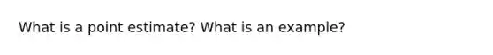 What is a point estimate? What is an example?