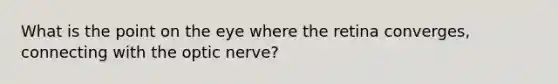 What is the point on the eye where the retina converges, connecting with the optic nerve?