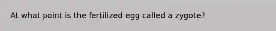 At what point is the fertilized egg called a zygote?