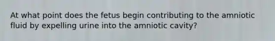 At what point does the fetus begin contributing to the amniotic fluid by expelling urine into the amniotic cavity?