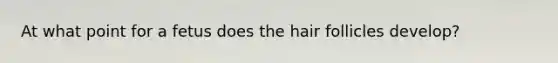 At what point for a fetus does the hair follicles develop?