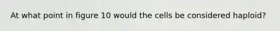 At what point in figure 10 would the cells be considered haploid?