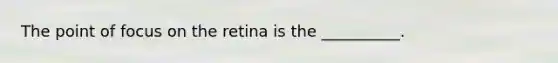 The point of focus on the retina is the __________.