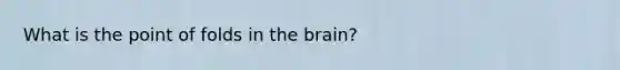 What is the point of folds in the brain?