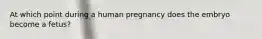 At which point during a human pregnancy does the embryo become a fetus?