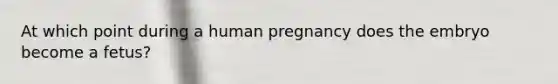 At which point during a human pregnancy does the embryo become a fetus?