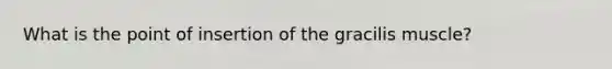 What is the point of insertion of the gracilis muscle?