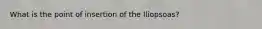 What is the point of insertion of the Iliopsoas?