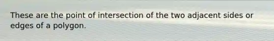 These are the point of intersection of the two adjacent sides or edges of a polygon.