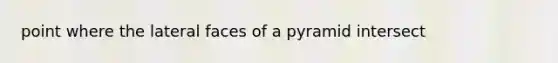 point where the lateral faces of a pyramid intersect