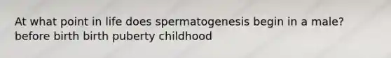 At what point in life does spermatogenesis begin in a male? before birth birth puberty childhood