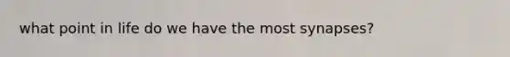 what point in life do we have the most synapses?