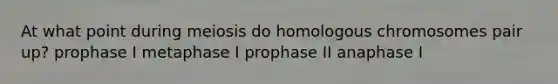 At what point during meiosis do homologous chromosomes pair up? prophase I metaphase I prophase II anaphase I