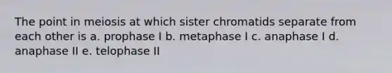 The point in meiosis at which sister chromatids separate from each other is a. prophase I b. metaphase I c. anaphase I d. anaphase II e. telophase II