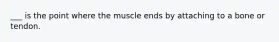 ___ is the point where the muscle ends by attaching to a bone or tendon.