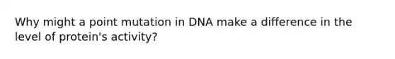 Why might a point mutation in DNA make a difference in the level of protein's activity?