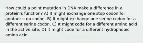 How could a point mutation in DNA make a difference in a protein's function? A) It might exchange one stop codon for another stop codon. B) It might exchange one serine codon for a different serine codon. C) It might code for a different amino acid in the active site. D) It might code for a different hydrophobic amino acid.