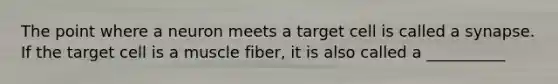 The point where a neuron meets a target cell is called a synapse. If the target cell is a muscle fiber, it is also called a __________