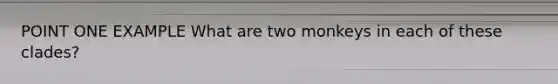 POINT ONE EXAMPLE What are two monkeys in each of these clades?