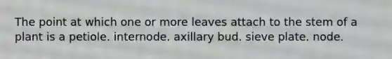 The point at which one or more leaves attach to the stem of a plant is a petiole. internode. axillary bud. sieve plate. node.