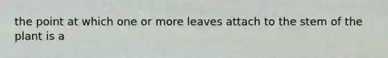 the point at which one or more leaves attach to the stem of the plant is a