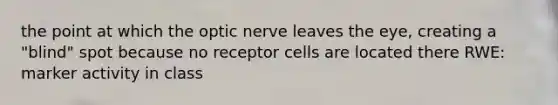 the point at which the optic nerve leaves the eye, creating a "blind" spot because no receptor cells are located there RWE: marker activity in class