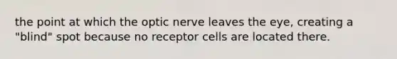 the point at which the optic nerve leaves the eye, creating a "blind" spot because no receptor cells are located there.