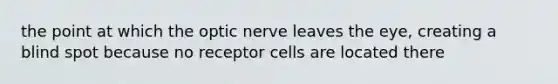 the point at which the optic nerve leaves the eye, creating a blind spot because no receptor cells are located there