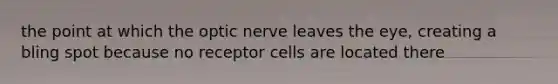 the point at which the optic nerve leaves the eye, creating a bling spot because no receptor cells are located there