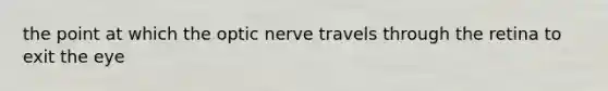 the point at which the optic nerve travels through the retina to exit the eye