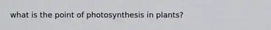 what is the point of photosynthesis in plants?