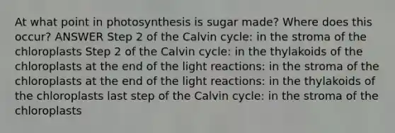 At what point in photosynthesis is sugar made? Where does this occur? ANSWER Step 2 of the Calvin cycle: in the stroma of the chloroplasts Step 2 of the Calvin cycle: in the thylakoids of the chloroplasts at the end of the light reactions: in the stroma of the chloroplasts at the end of the light reactions: in the thylakoids of the chloroplasts last step of the Calvin cycle: in the stroma of the chloroplasts