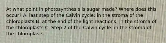 At what point in photosynthesis is sugar made? Where does this occur? A. last step of the Calvin cycle: in the stroma of the chloroplasts B. at the end of the light reactions: in the stroma of the chloroplasts C. Step 2 of the Calvin cycle: in the stroma of the chloroplasts