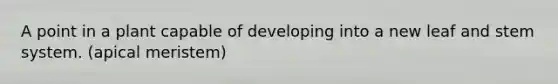 A point in a plant capable of developing into a new leaf and stem system. (apical meristem)