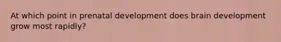 At which point in <a href='https://www.questionai.com/knowledge/kMumvNdQFH-prenatal-development' class='anchor-knowledge'>prenatal development</a> does brain development grow most rapidly?