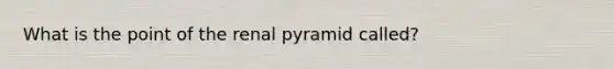 What is the point of the renal pyramid called?