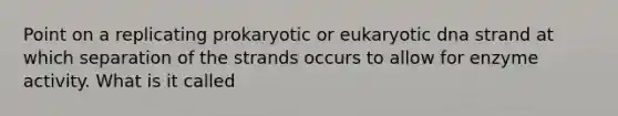 Point on a replicating prokaryotic or eukaryotic dna strand at which separation of the strands occurs to allow for enzyme activity. What is it called