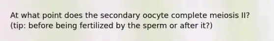 At what point does the secondary oocyte complete meiosis II? (tip: before being fertilized by the sperm or after it?)