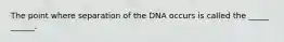 The point where separation of the DNA occurs is called the _____ ______.