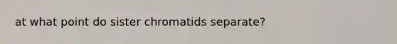 at what point do sister chromatids separate?