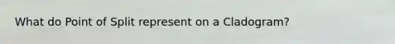 What do Point of Split represent on a Cladogram?