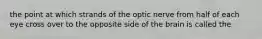 the point at which strands of the optic nerve from half of each eye cross over to the opposite side of the brain is called the