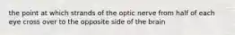 the point at which strands of the optic nerve from half of each eye cross over to the opposite side of the brain