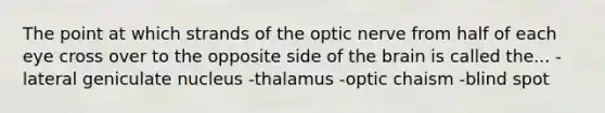 The point at which strands of the optic nerve from half of each eye cross over to the opposite side of the brain is called the... -lateral geniculate nucleus -thalamus -optic chaism -blind spot